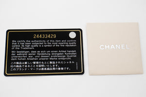 CHANEL Lambskin Pearl Wallet On Chain WOC Double Zip Chain Bag L17
